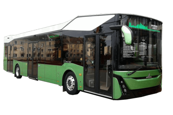 Bus MAZ 303065