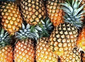 Ananas tropicaux frais